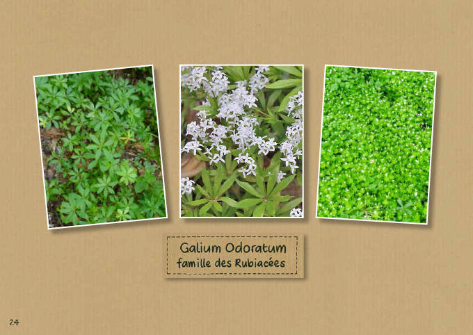 un_orage_pour_les_grands_light-24